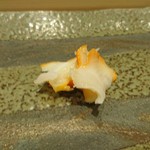寿司割烹 魚紋 - 赤西貝。