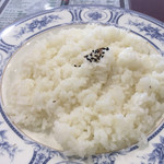 リトルインドパレス - 