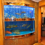 鏞記酒家 - 南洋の魚たち。