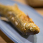 うを徳 - 琵琶鰉（びはひがい）、鹽燒（しほやき）