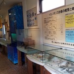 朝市食堂 二番館 - 朝市の展示もありました