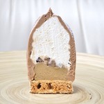 アテスウェイ - '17.02モンブラン断面