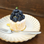 Irodori - pâtisserie　irodori　シャルロットミルティーユ