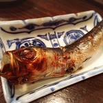 海鮮炭火焼食堂 肴や - 何の魚か忘れたけど美味しかった…（笑）