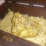 マルゴット エ バッチャーレ - 