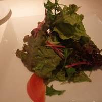 IL PINOLO 銀座 - 