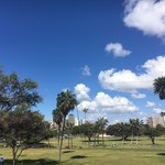 Tonkatsu TAMAFUJI - キレイね