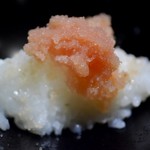 富小路 やま岸 - 土鍋御飯 ご飯のお伴3種