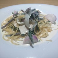 MOTORA  - 
