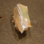 寿し おおはた - 