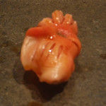 寿し おおはた - 