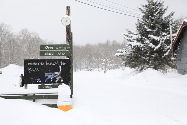 ネコ ト コトリ テイ（neko to kotori tei） - 富良野（カフェ）の写真
