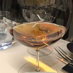 TACUBO - Royal Darjeeling Rajah deluxe