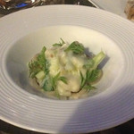 マジカメンテ ビバッコ - 