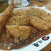 日乃屋カレー 新橋航空会館店