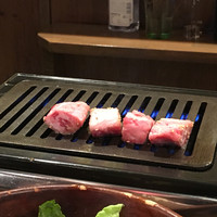NO MEAT, NO LIFE.2nd - 