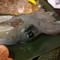 いけす鶴八 新栄店 - 