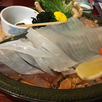 いけす鶴八 新栄店 - いか刺し
