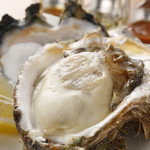 ザ・ベイスメント