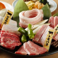 カルビ三昧  ~焼肉の王道~