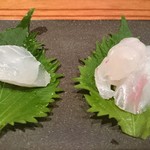 すし 市松 - 造り　まごち