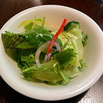 アクア チプレッソ - ランチのサラダ