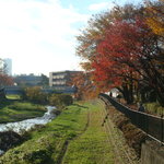 Sobadokoro Yorimichi - 近くの野川の風景