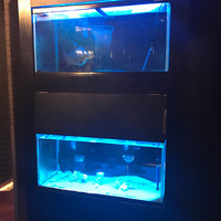 個室 和牛焼肉 吟 難波店 - 