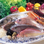 SABATINI - 築地から毎日届く新鮮な魚介♪