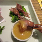 あめこや - 蛍烏賊（兵庫）