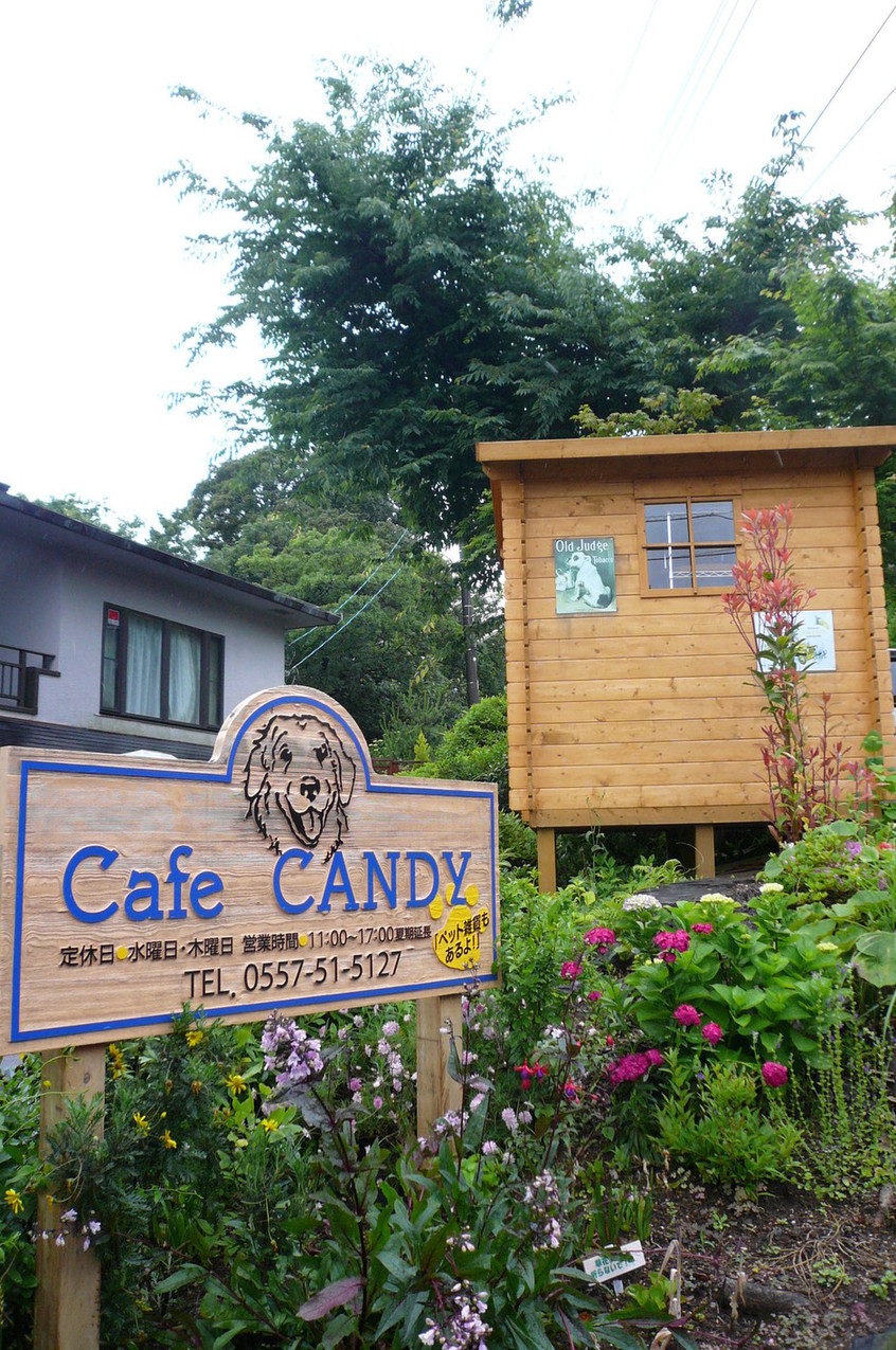 CANDY name=