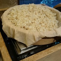 浅草むぎとろ 本店 - 