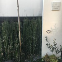 四間道レストランMATSUURA - 