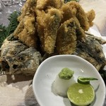 Standard fried horse mackerel