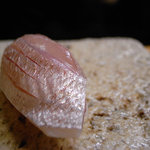 日本橋橘町　都寿司 - 春子