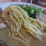 とん吉 - クタッと柔らかい低加水の丸断面をしたストレート細麺