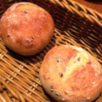 オッジ ダルマット 西麻布店 - 