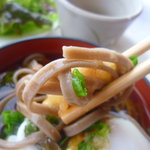 ホテルフジタ福井 - 福井ではこんな形の麺が多い様に感じます。