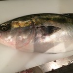 和食 酒肴 まさむら - 