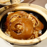 碧麗春 - 