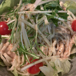 パイパティローマ - 