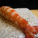 日本橋橘町　都寿司 - 車海老