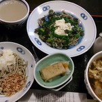 中国山地蕎麦工房 ふなつ - 地主さん蕎麦￥1000