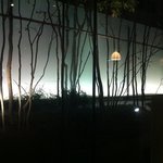 アクアヴィット - 