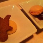 アクアヴィット - 