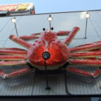 かに道楽 西新宿５丁目店 - 