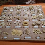 レオーネ・マルチアーノ - 