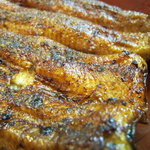 かぶと - 天然物