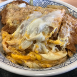 どんどん庵 - かつ丼