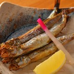 げんき食堂 WAKU家 - 子持ちししゃも